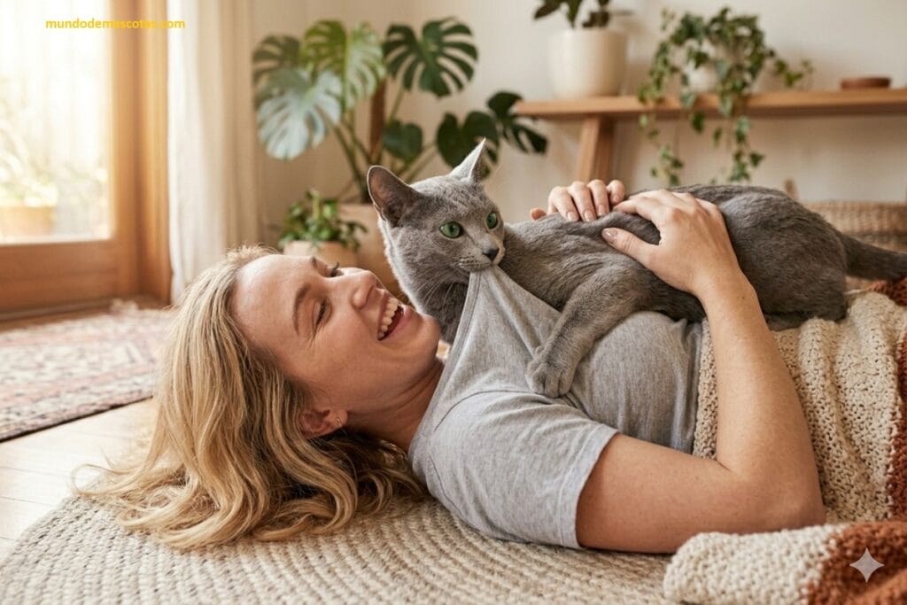 por qué mi gato me muerde cuando grito es un felino plomo encima d su dueña jugando con amor